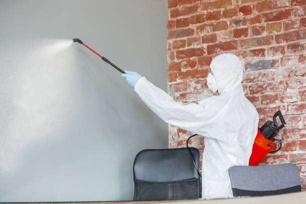 Best Environmental Consulting for Mold Prevention  in Caway, AR