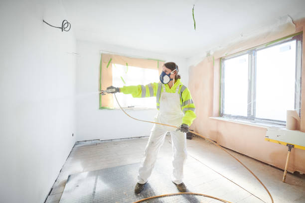 Environmental Consulting for Mold Prevention in Caraway, AR