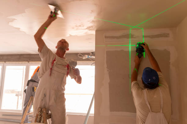 Best Mold Damage Restoration  in Caway, AR