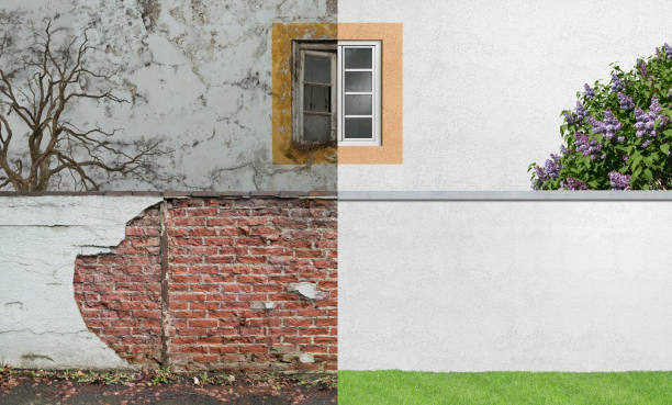 Best Residential Mold Inspection & Testing  in Caway, AR