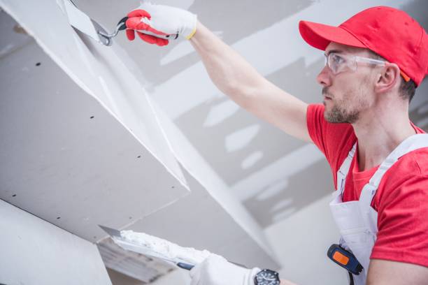 Best HVAC Mold Inspection and Cleaning  in Caway, AR