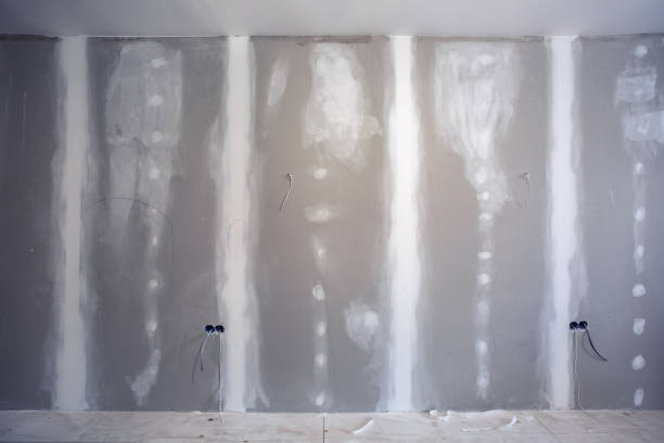 Best Emergency Mold Remediation  in Caway, AR